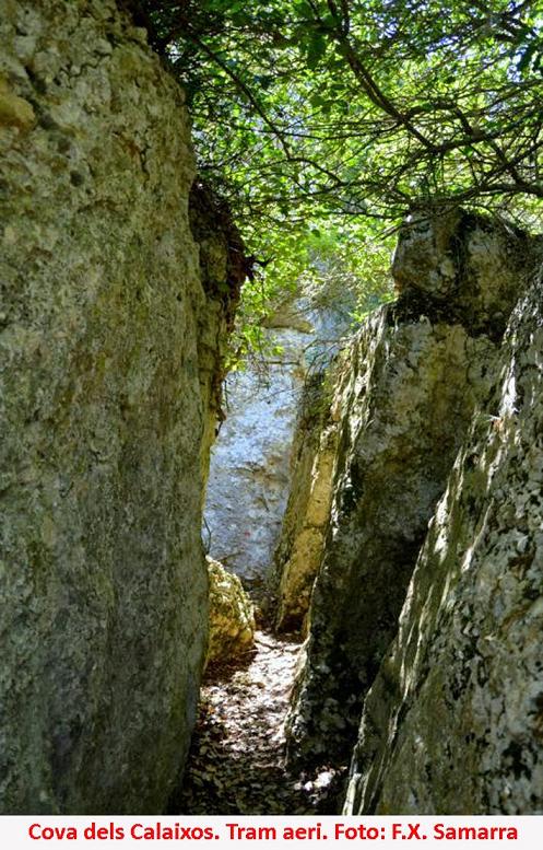 foto 4: Cova dels Calaixos de l'ereldo
