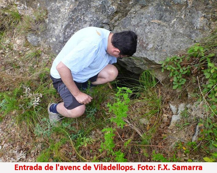 foto 0: Avenc de Viladellops