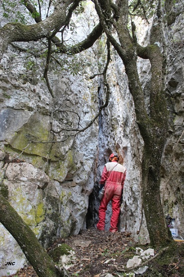 foto 0: Cova-avenc del Mas de Pontons