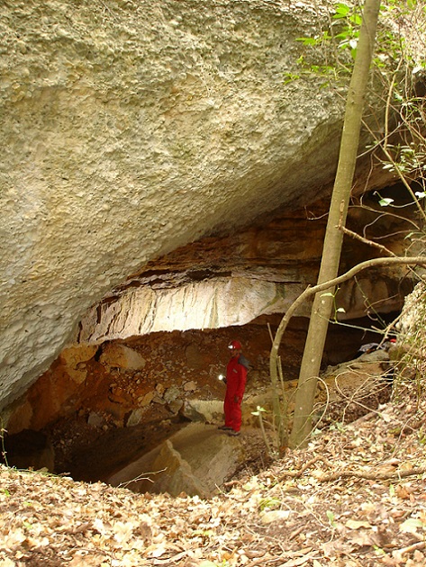 foto 2: Cova de la Coma Closa Superior