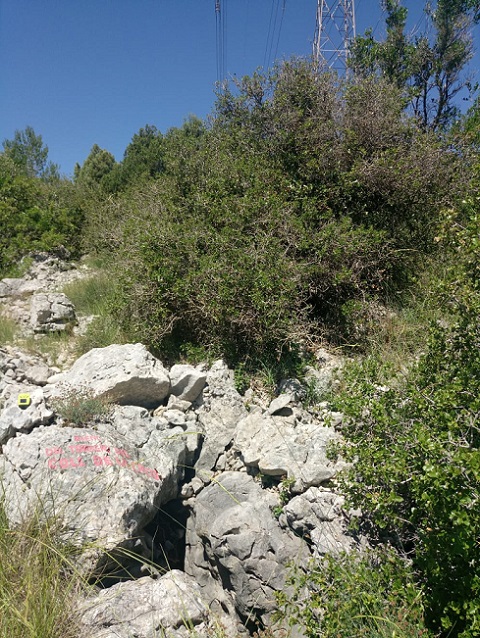 foto 0: Avenc del Torrent del Coll de la Creu