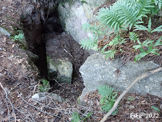 foto 0: Forat de la Baga de Can Torrela