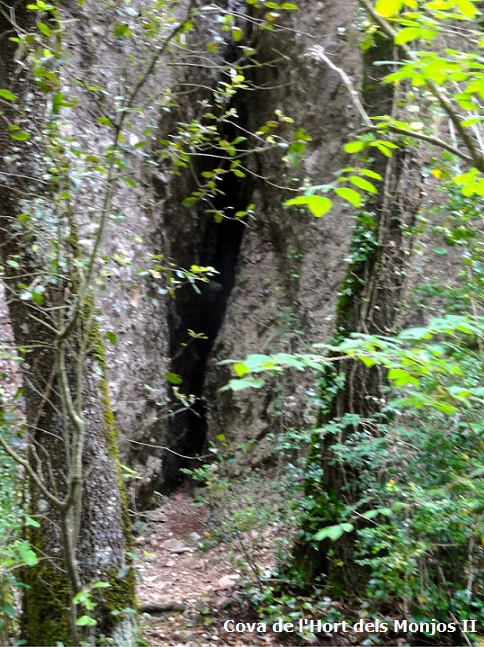 foto 1: Coves de l'Hort dels Monjos