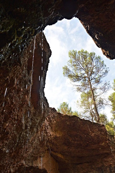 foto 2: Balma del Torrent de l'esbarzer