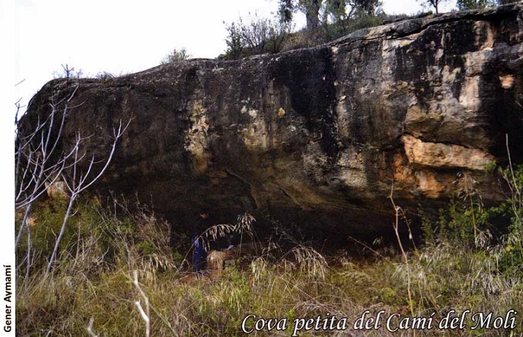 foto 0: Cova Petita del Camí del Molí
