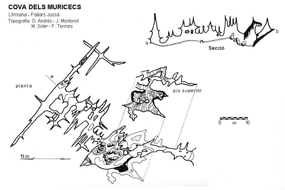 topo 0: Cova dels Muricecs