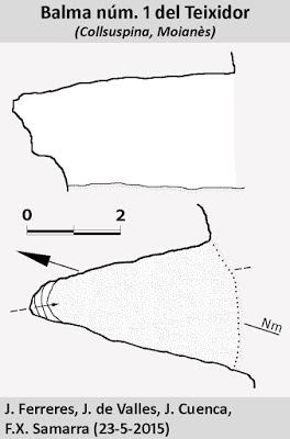 topo 0: Balmes del Teixidor