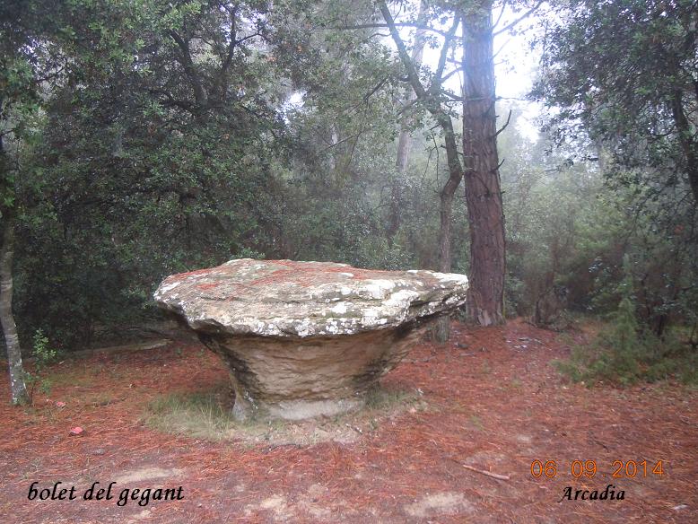 foto 7: Cova del Gegant