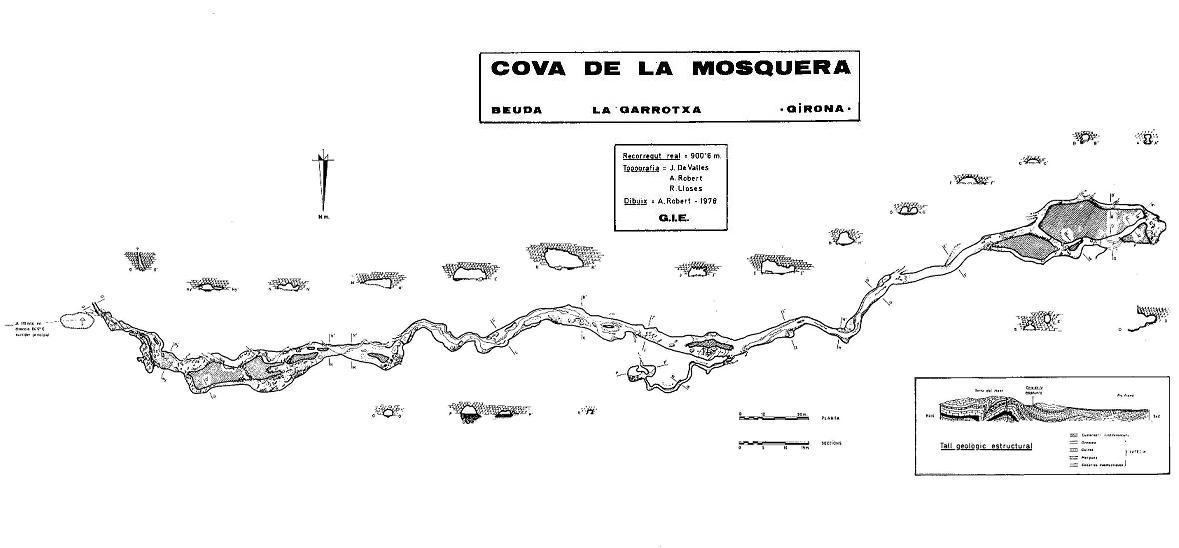 topo 2: Cova de la Mosquera