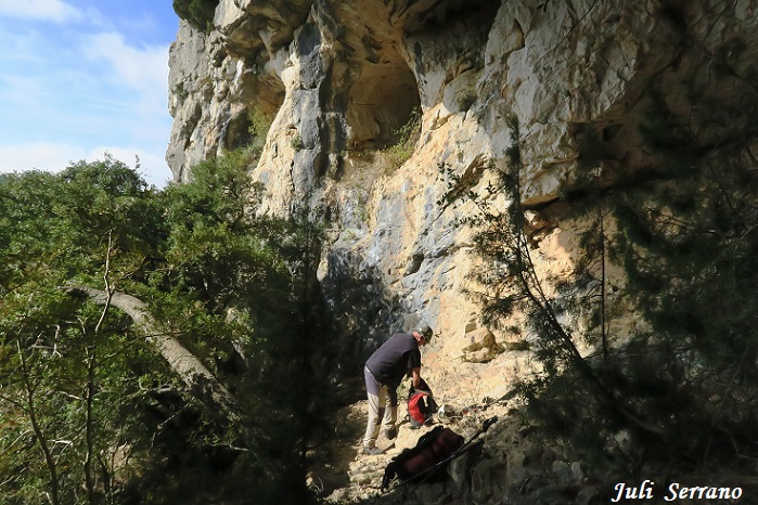 foto 2: Cova del Cingle de l'abellera