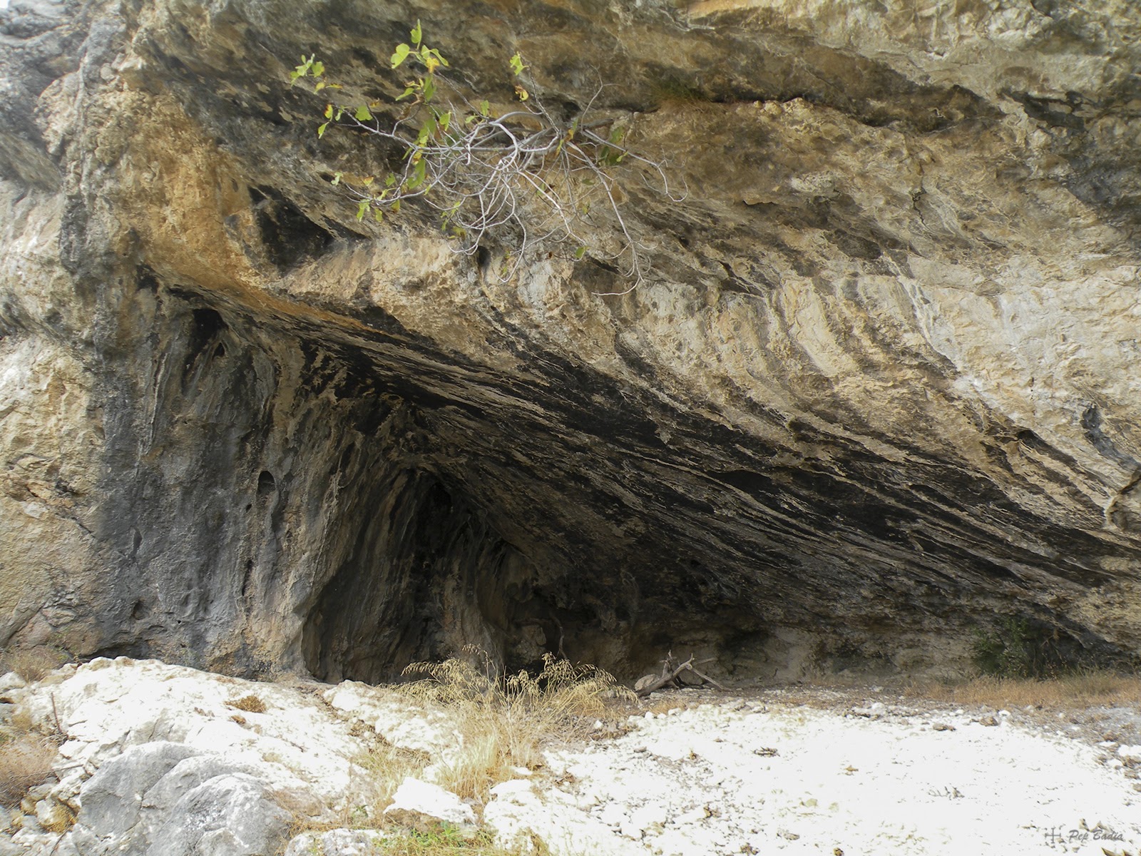 foto 0: Cova del Gall
