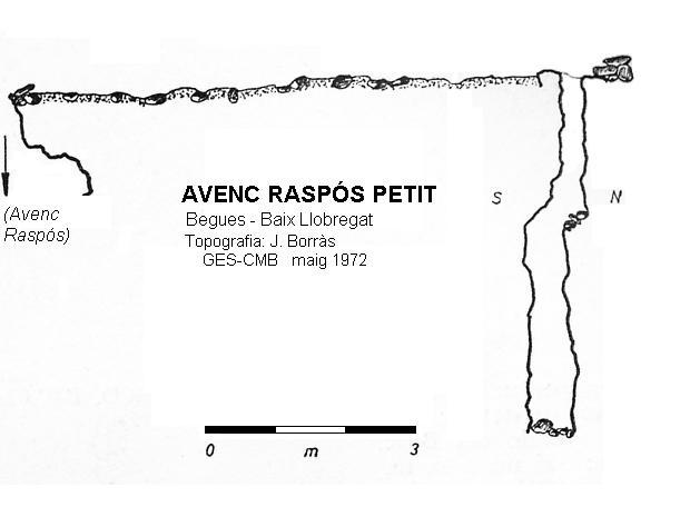 topo 1: Avenc Raspós Petit