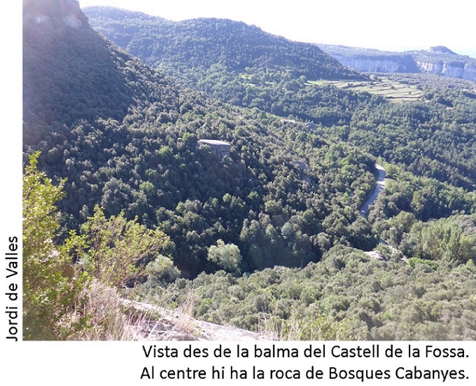 foto 6: Balma del Castell de la Fossa