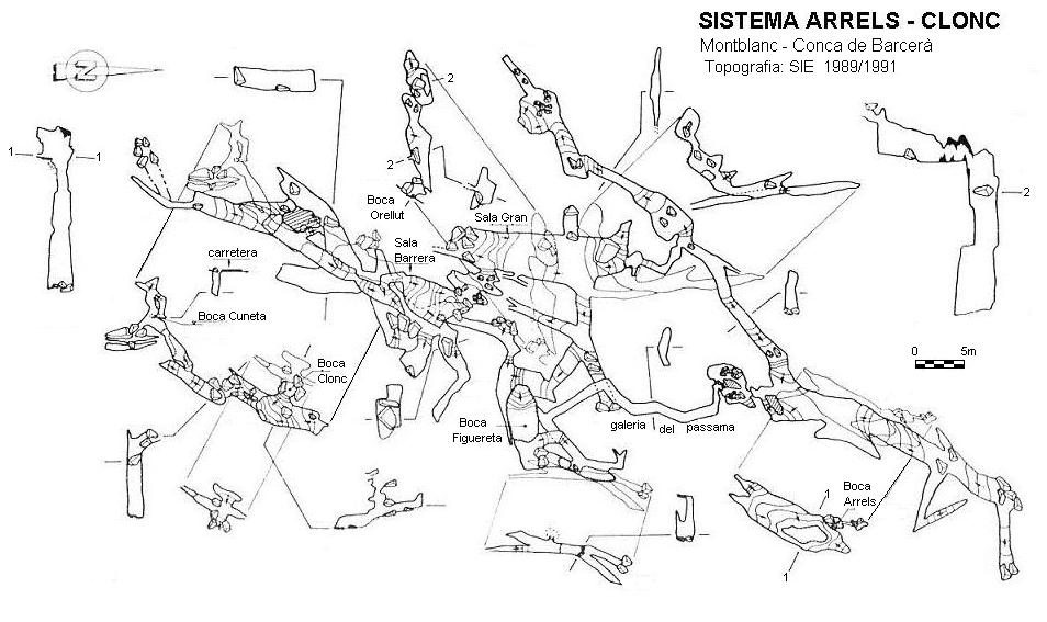 topo 0: Sistema Arrels-clonc