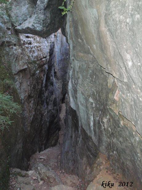 foto 0: Avencs I Coves de la Febró