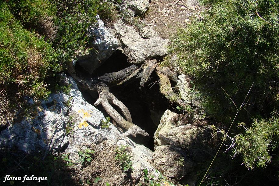 foto 0: Avenc de la Cabra