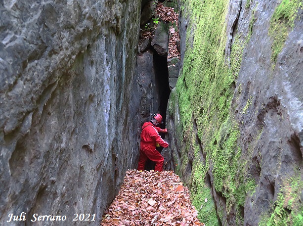 foto 4: Bora del Camí