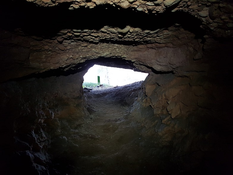 foto 4: Coves d'en Carner