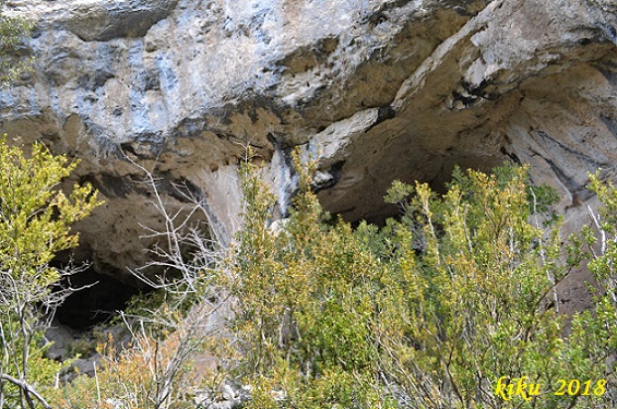 foto 1: Cova Nº5 de l'Escudelleta