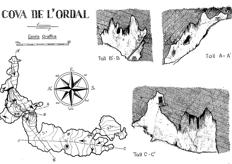 topo 1: Cova-avenc d'Ordal