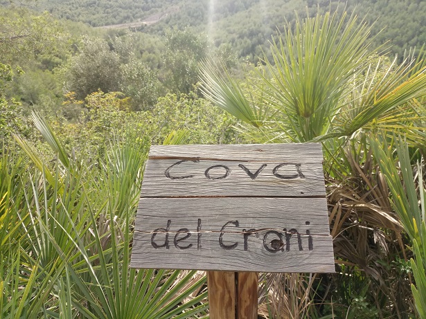 foto 0: Cova del Crani