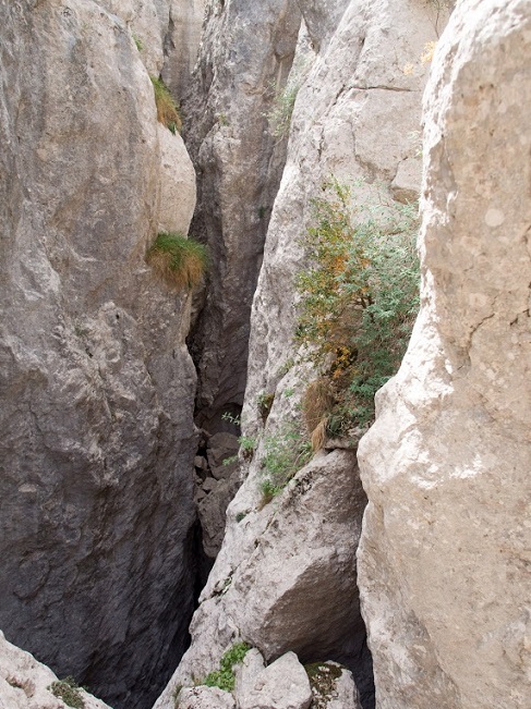 foto 8: Esquerdes de Palomera