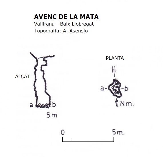 topo 1: Avenc de la Mata