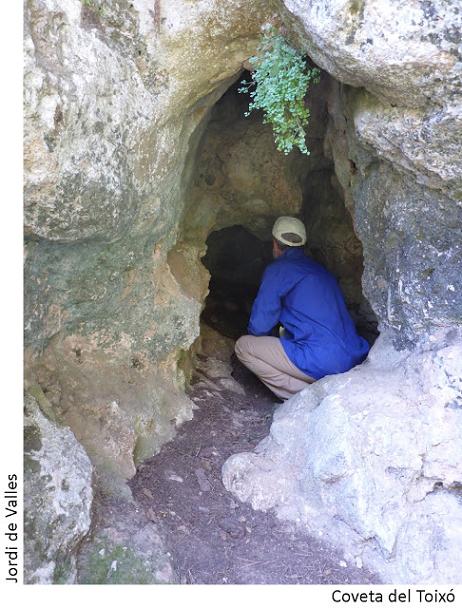 foto 1: Coveta del Toixó