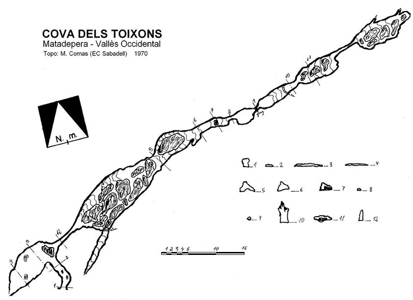 topo 1: Cova dels Toixons