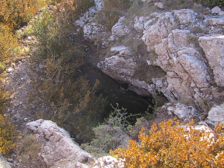 foto 1: Avenc de la Caseta Forestal