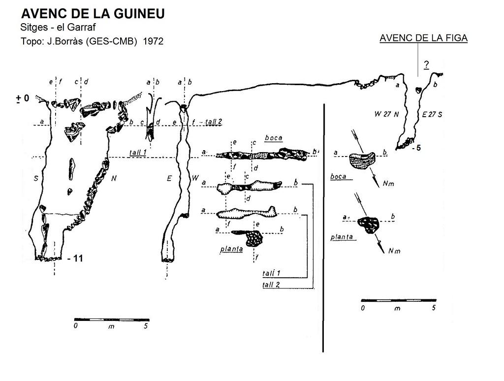 topo 0: Avenc de la Guineu