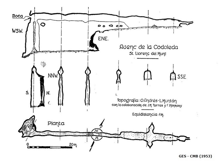 topo 1: Avenc de la Codoleda