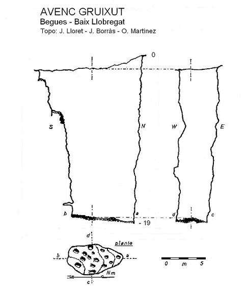 topo 0: Avenc Gruixut