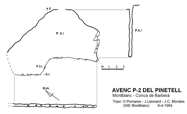 topo 0: Avenc P-2 del Pinetell