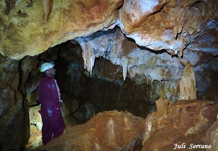 foto 0: Cova Bonica
