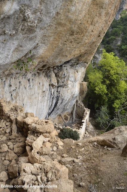 foto 0: Coves d'Aiguadonzella