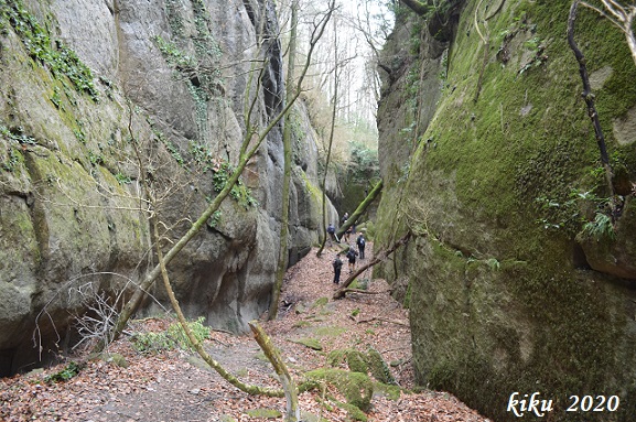 foto 0: Cova del Baró