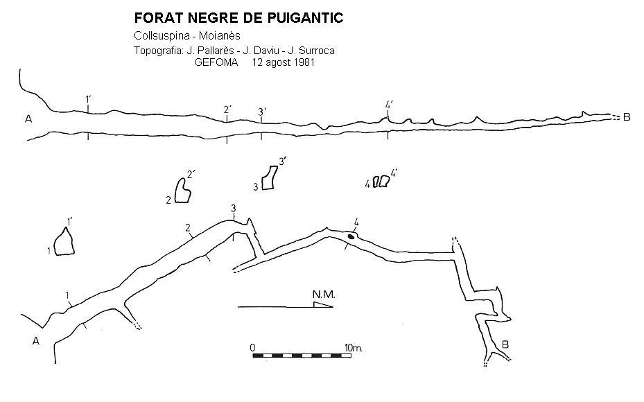 topo 1: Forat Negre de Puigantic