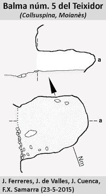 topo 4: Balmes del Teixidor