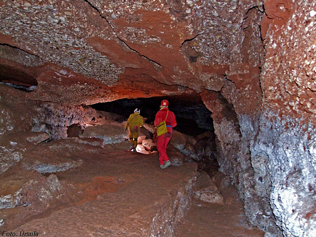 foto 7: Coves de Mura