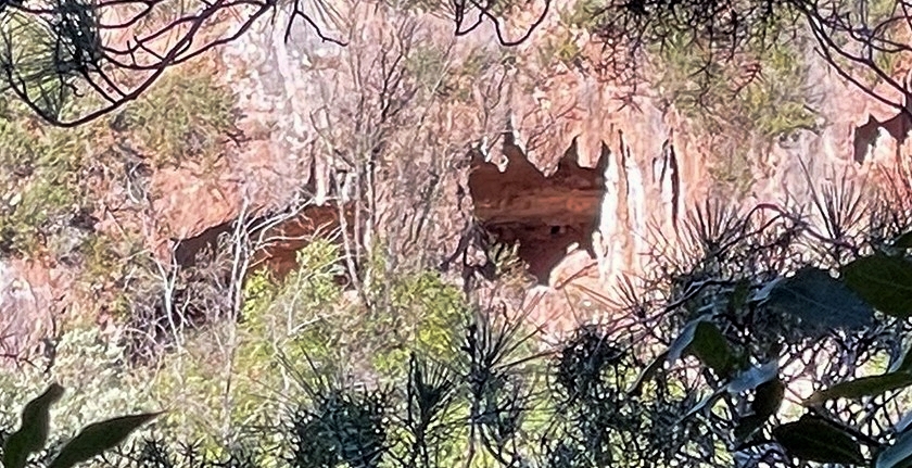 foto 0: Cova Boca de Drac