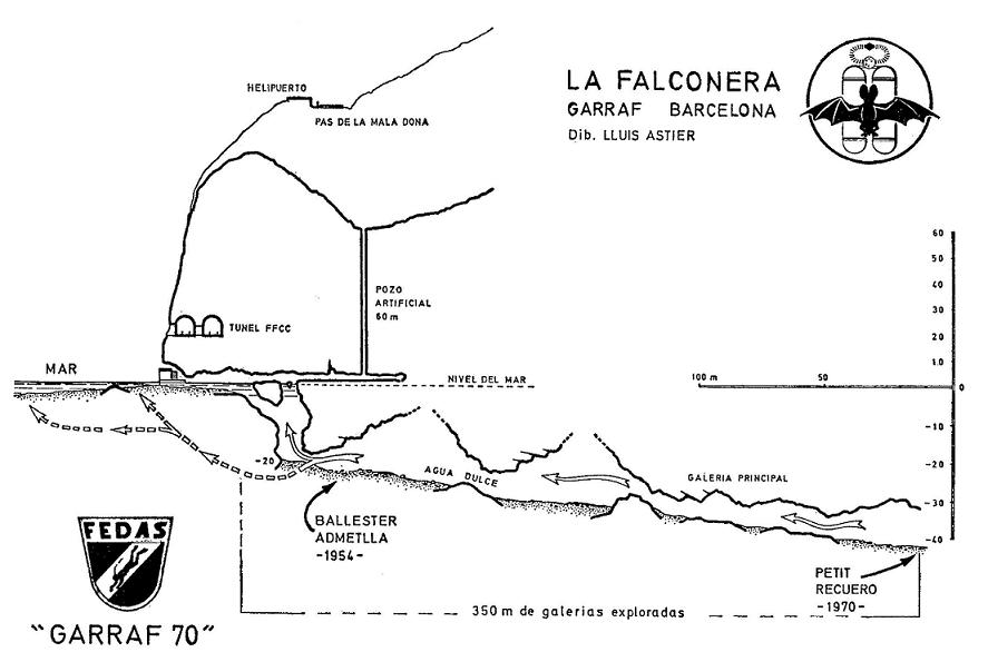 topo 2: la Falconera