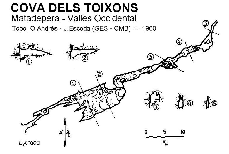 topo 0: Cova dels Toixons