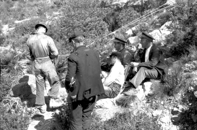 foto 0: Avencs de l'Esmenador I del Tossal del Jonc