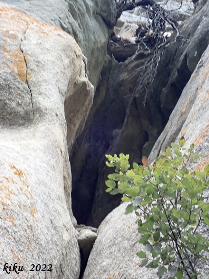 foto 1: Cova Mitja del Puig de les Balmes