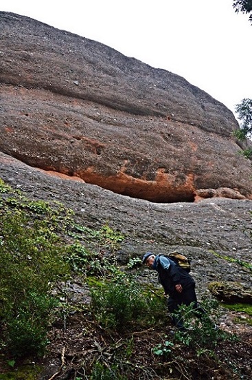 foto 0: Balma de la Serrallonga