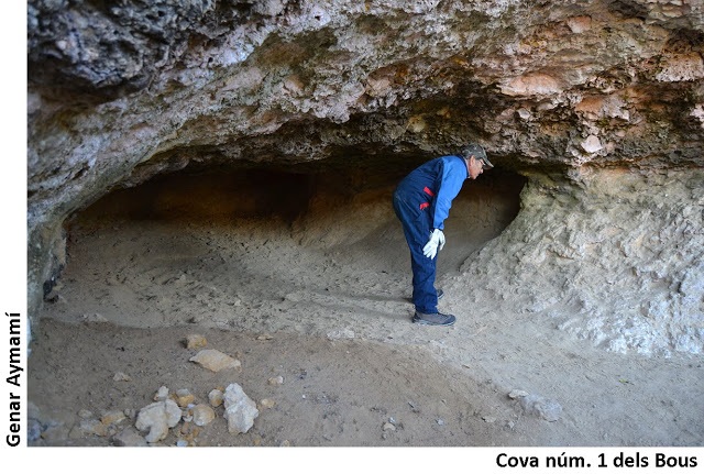 foto 4: Coves dels Bous