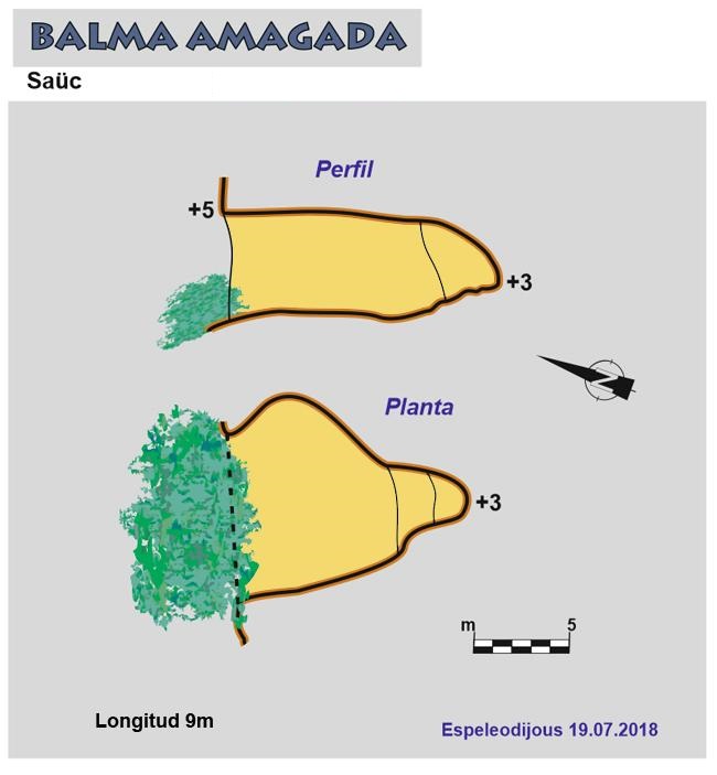 topo 0: Balma Amagada del Saüc