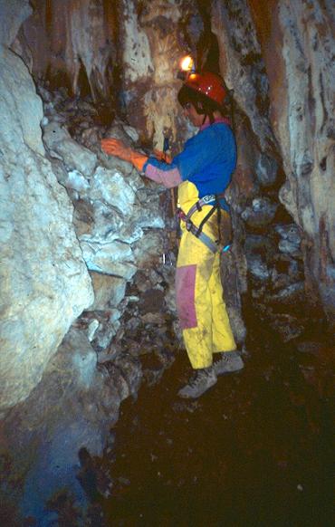 foto 2: Grallera del Coll de l'olla