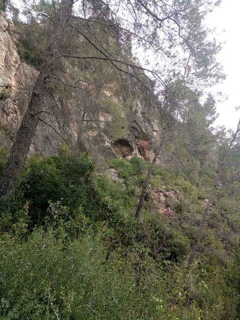 foto 1: Cova del Pont de la Bauma